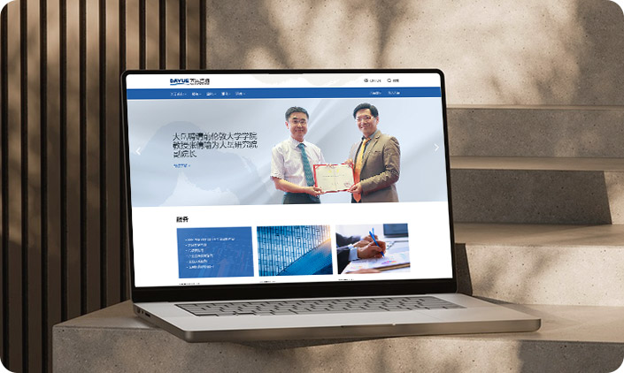 北京大岳咨詢(xún)有限責(zé)任公司