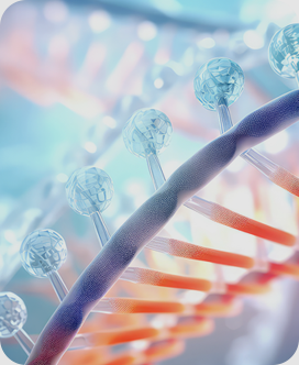 中國醫學科學院醫學實驗動物研究所